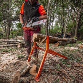 ultimate sawhorse forestry 3