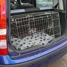 Pet World Car Dog Puppy Cage Crate - Fiat Panda - 2004 - 2011 Pet Carrier Travel Crate