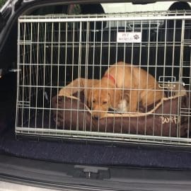 CDC36cid A0849425 0944 460A 84BC 9FA93382BC14