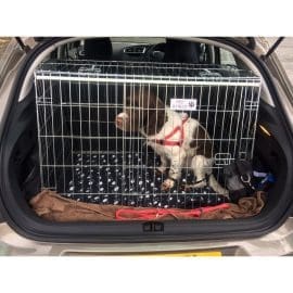 Pet World Car Dog Travel Crate Cage - Citroen C4 Coupe 2004 - 2010 Pet Carrier Travel Crate