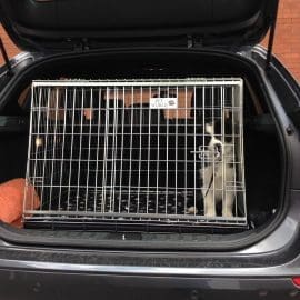 Pet World Car Dog Cage - BMW 1 Series 2011 - 2019 Crate