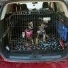Pet World Ford Kuga 2008 Onward 4x4 Car Dog Cage Crate Pet Travel Guard