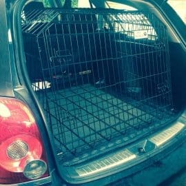 Pet World Toyota Avensis Estate 2003 - 2009 Car Dog Cage Crate Pet Travel
