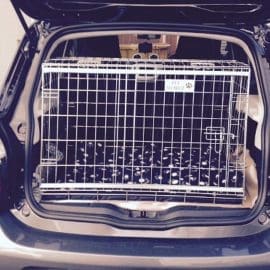 Pet World Car Dog Cage Travel Crate - Smart ForFour 2014 Onward