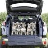 Peugeot 3008 Car Dog Crate