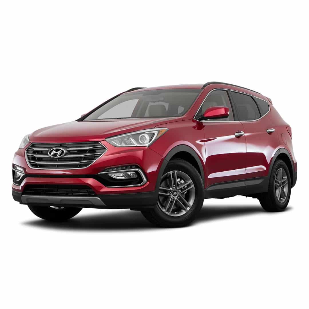 Pet World Hyundai Santa Fe Space Saver Car Dog Cage 2 Pet World Hyundai Santa Fe Space Saver Car Dog Cage