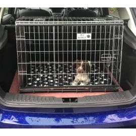 Pet World Car Dog Cage - Ford Focus 2011 - 2018