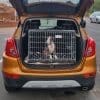 Vauxhall Mokka 2017 Auto Hundekiste