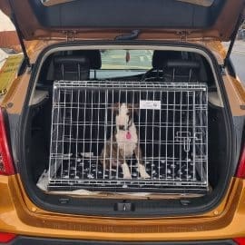 Caisse pour chien Vauxhall Mokka 2017