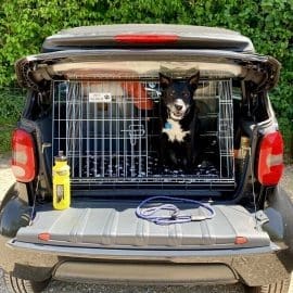 Pet World Car Dog Cage Crate - Smart Car Cabriolet 1998-2007