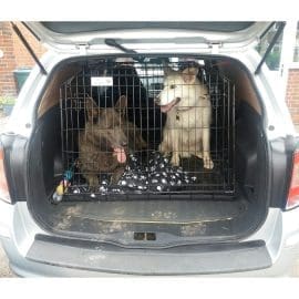 Pet World Vauxhall/Opel Astra Van 2009-2015 Bil Hund Bur Kasse Pet Travel