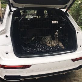 Pet World Audi Q5 Avant 2018 Onward Car Dog Cage Crate Pet Travel Guard