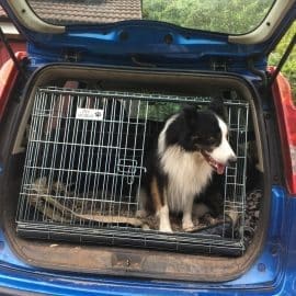 nissan note, car dog cage, pet travel crate