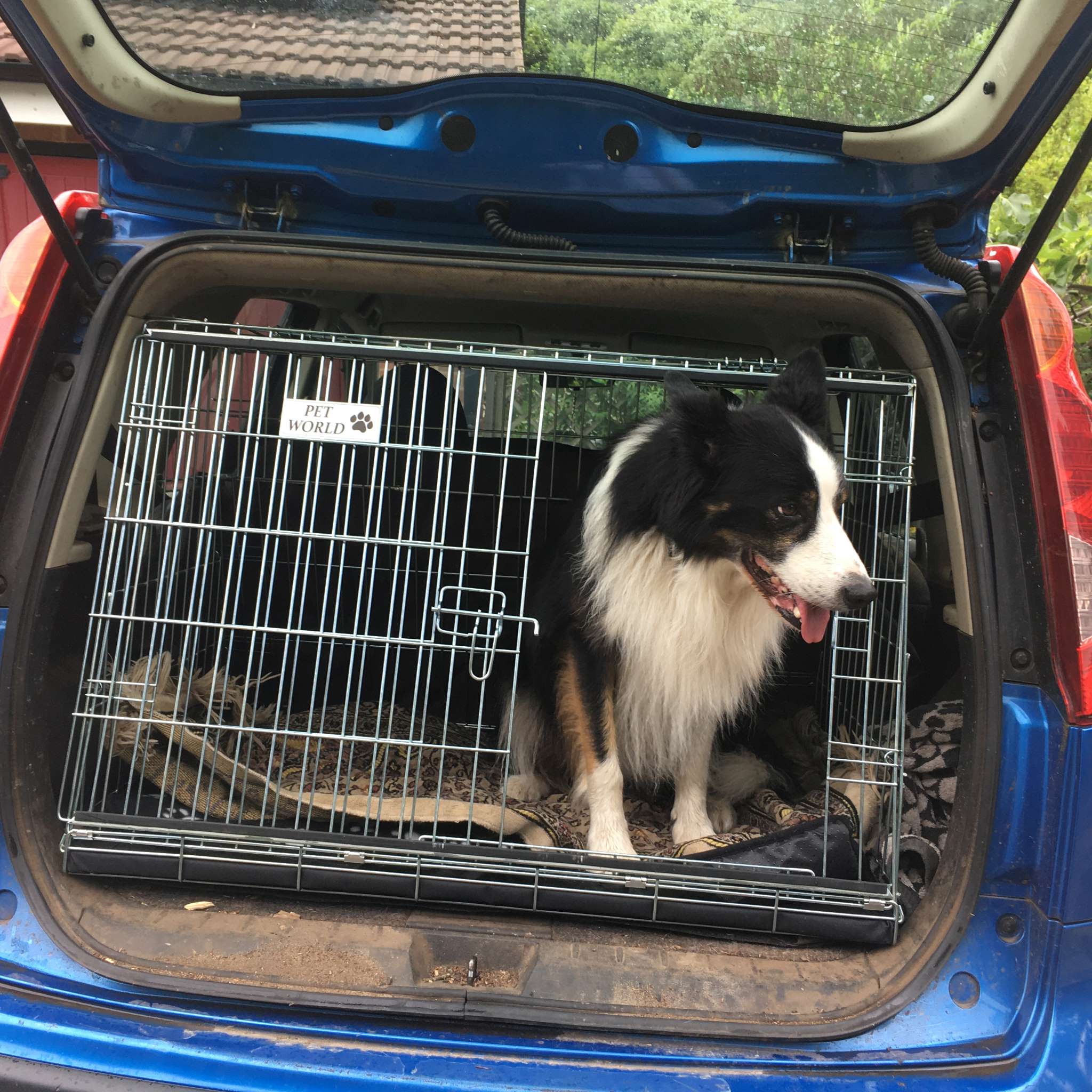 nissan note, car dog cage, pet travel crate