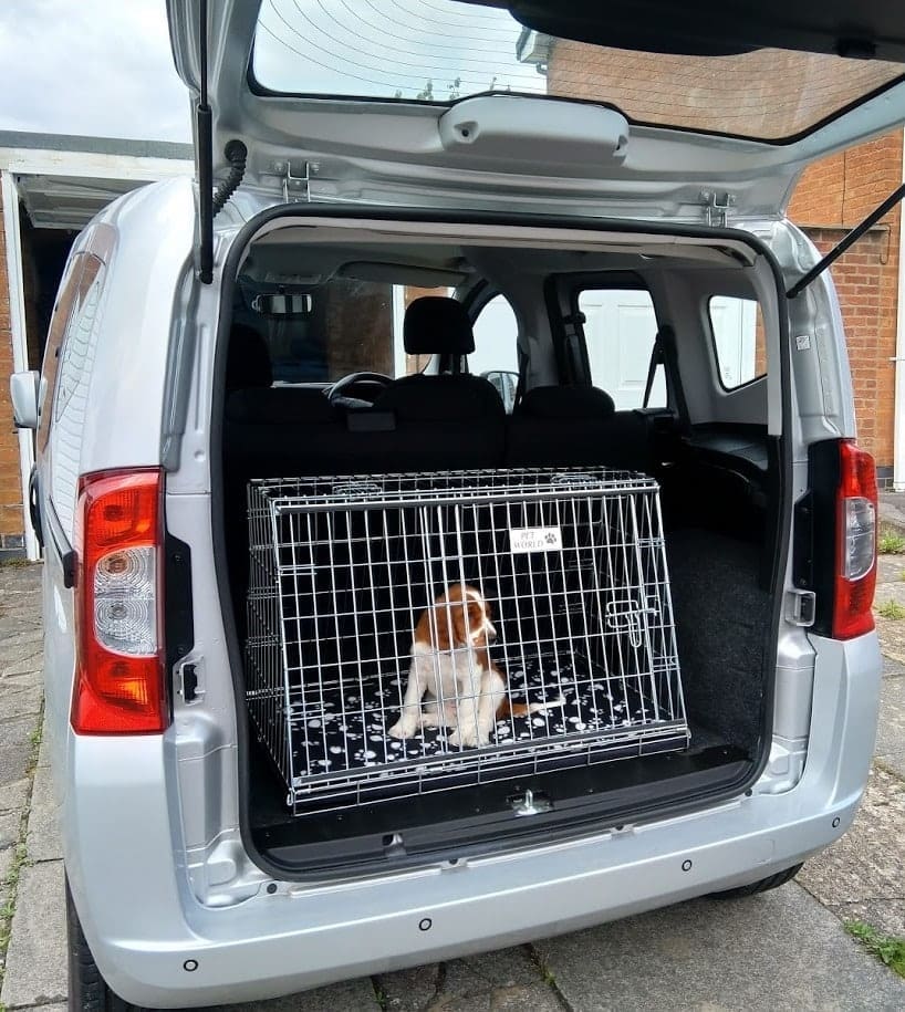 Cage pour chien Pet World Car - Fiat Qubo - Image 2