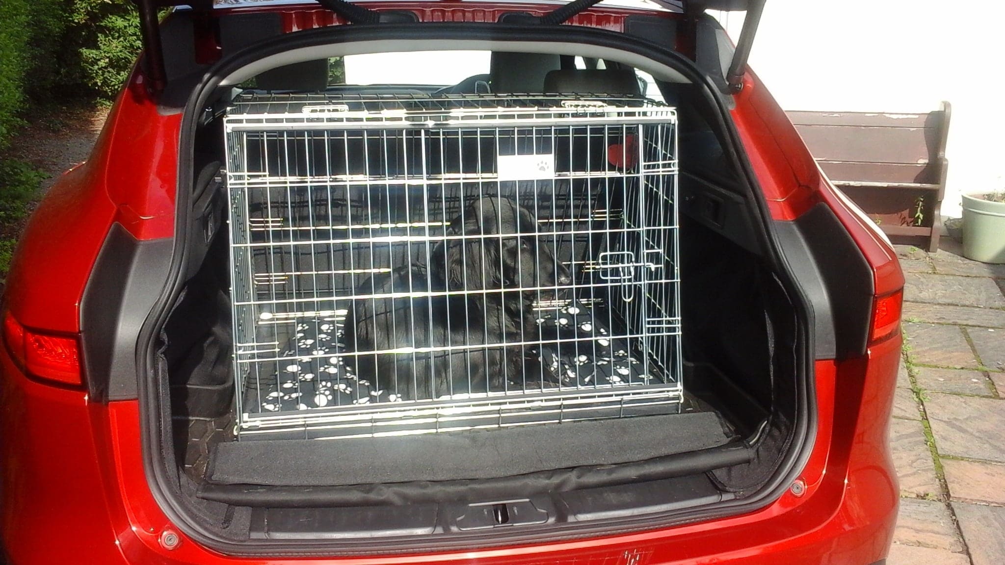 Pet World Car Dog Crate - Jaguar F Pace Pet Carrier Travel Crate 2 jaguar f pace, gabbia da viaggio per animali domestici, cassa per cani in auto