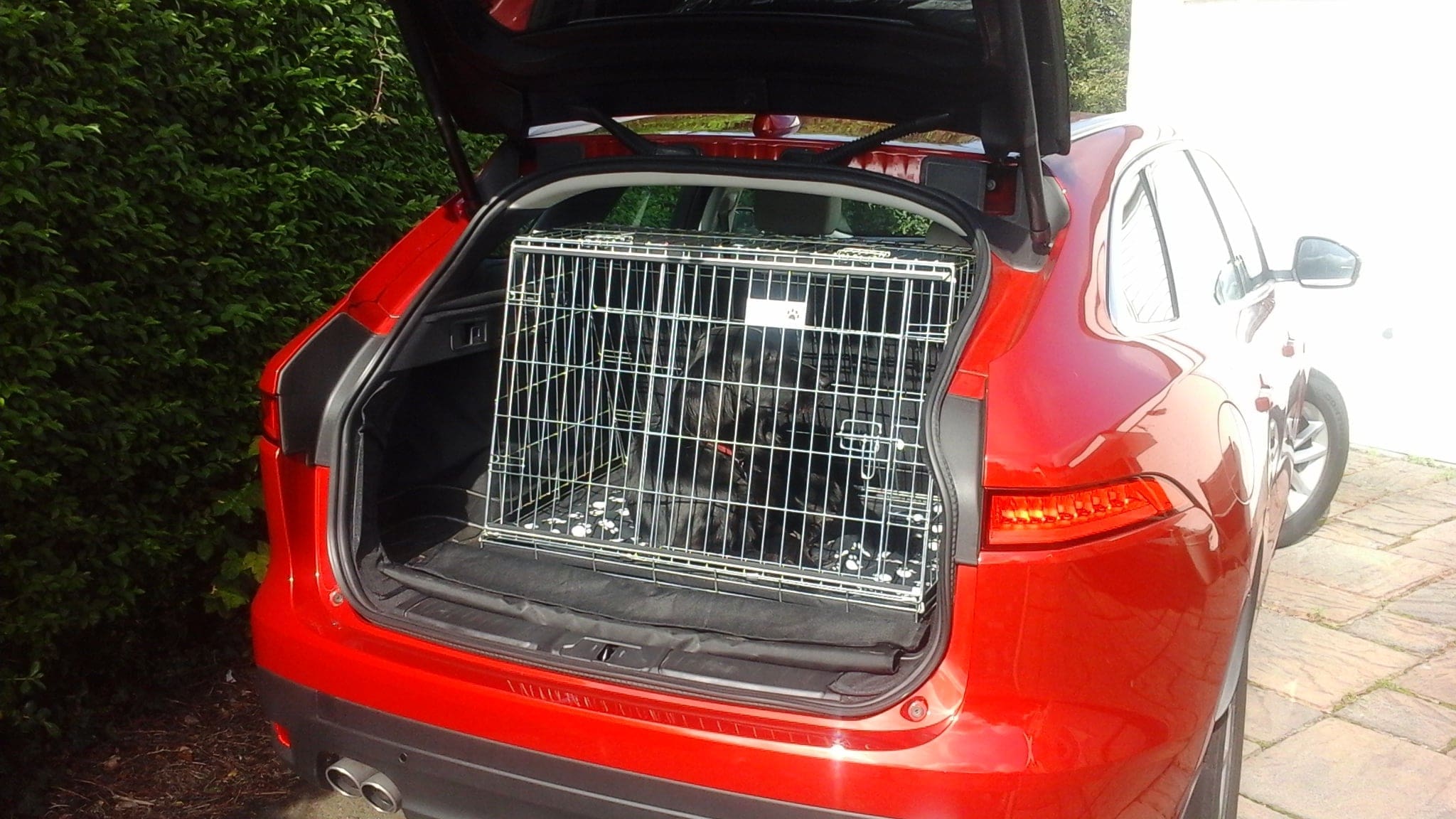 Pet World Car Dog Crate - Jaguar F Pace Pet Carrier Travel Crate 1 jaguar f pace, gabbia da viaggio per animali domestici, cassa per cani in auto