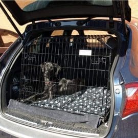 porsche cayenne, cage pour chien, cage de transport pour animaux de compagnie