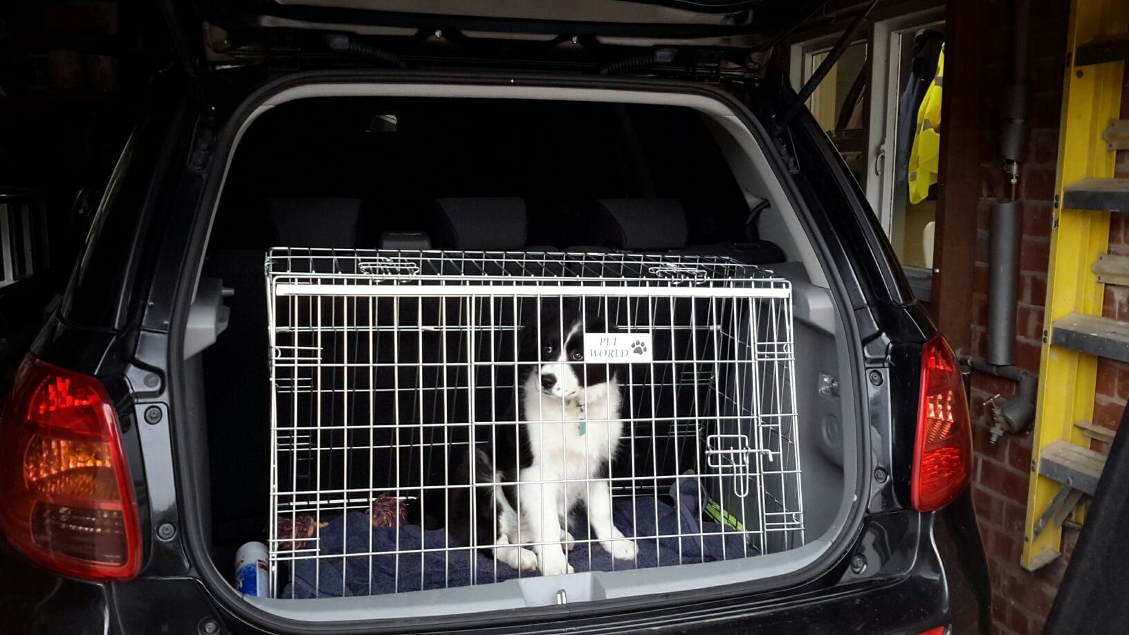 Pet World Car Dog Cage Crate - Suzuki SX4 2 Suzuku SX4 Dog Cage