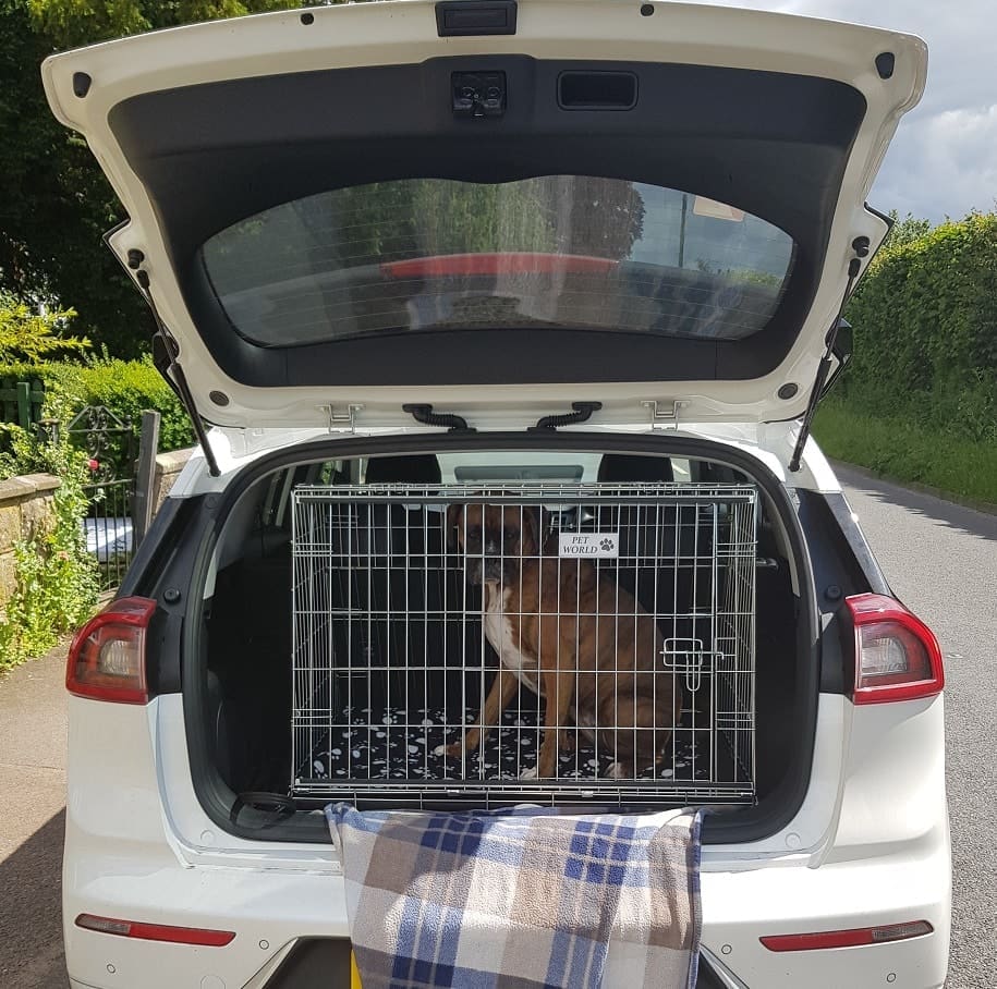 kia nero, pet cage, dog travel crate