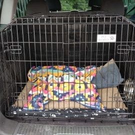vauxhall Zafira , pet travel cage, car dog crate