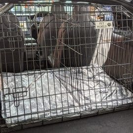 tesla model x, hundekasse, hundebur til bil,