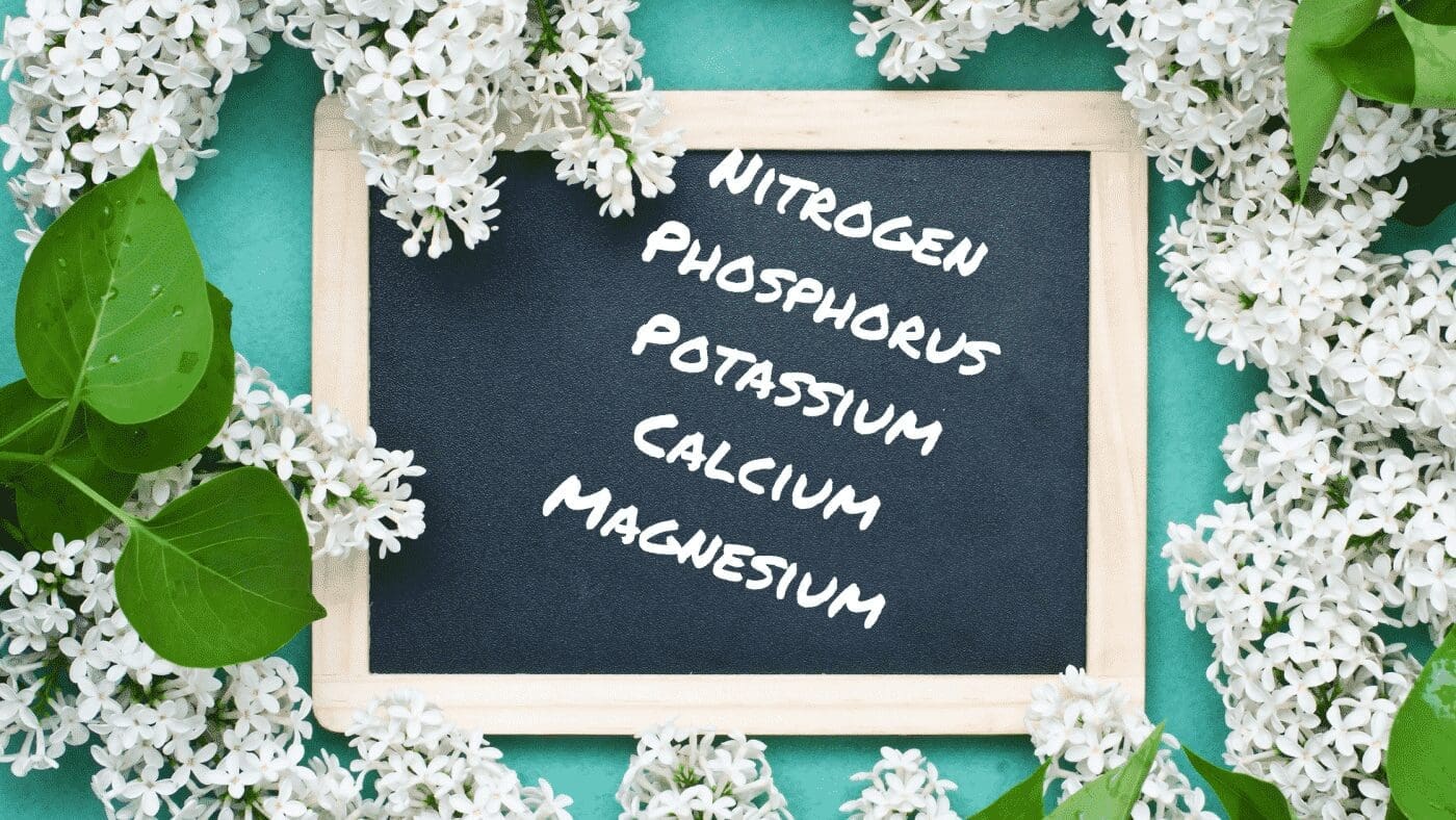 Your Garden Mulcher Shredder guide: Different types of mulch 3 arrows-uk, mulching, shredding, chipping, mulch