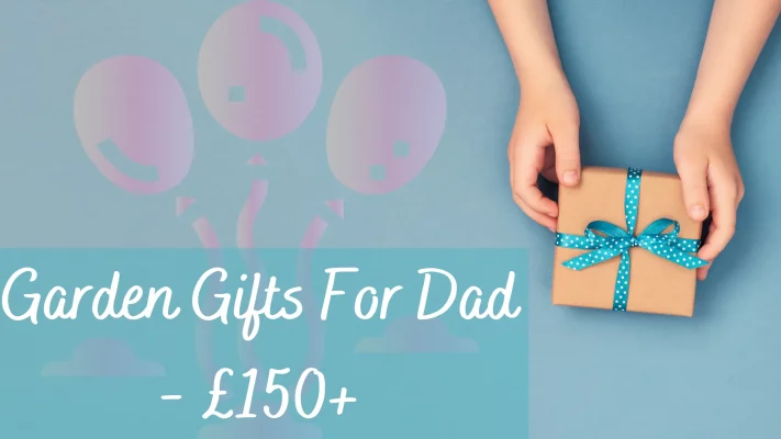 Pink and Peach Food Business Blog Banner 12.png 1