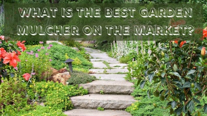 resized image Promo 10