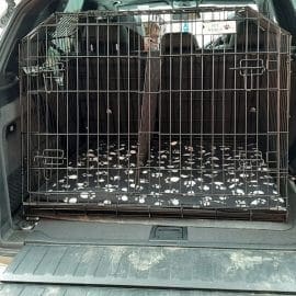 bmw 2018 X5 7 SEATER EST38L 2