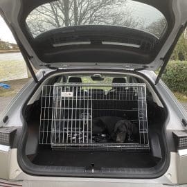 Hyundai Ioniq 5 projet 45 voiture cage pour chien