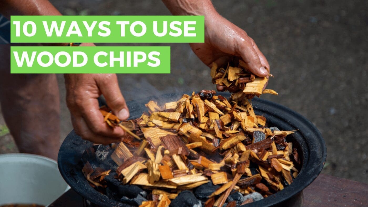 Top 7 UK Agriculture Events This Summer for All the Family 20224