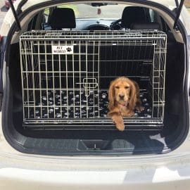 Pet Travel Equipment