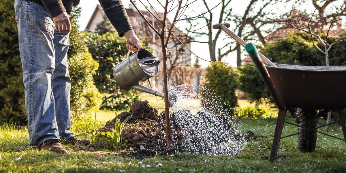 Encabezados de sitios web 31