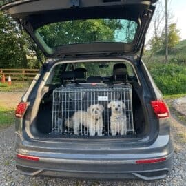 Alternative view of Pet World Volkswagen Tiguan – 2021 Onwards Car Dog Cage