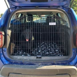 Pet World Dacia Duster - 2023 Onwards Car Dog Cage