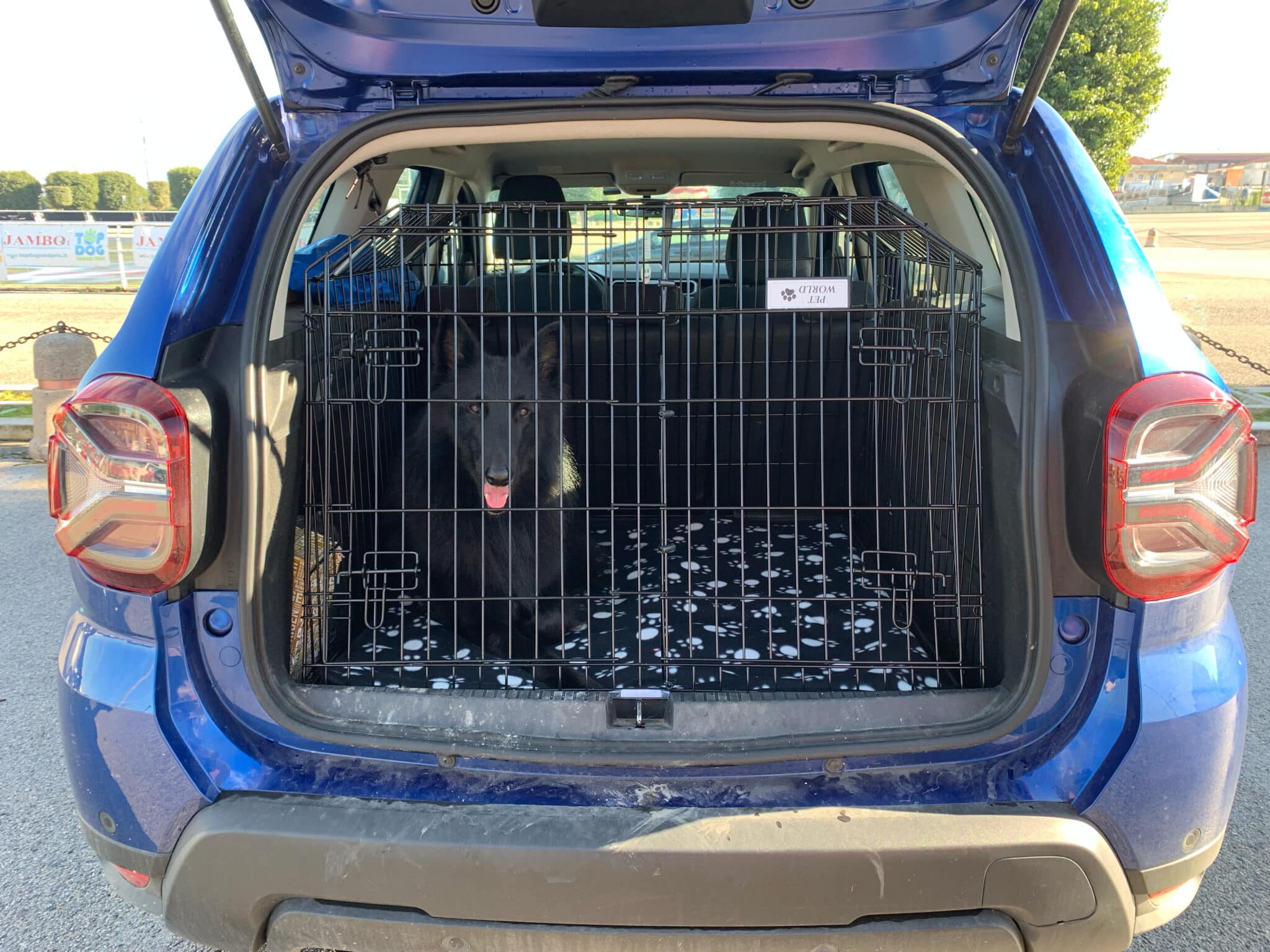 Pet World Dacia Duster - 2023 Onwards Car Dog Cage 2 Pet World Dacia Duster - 2023 Onwards Car Dog Cage