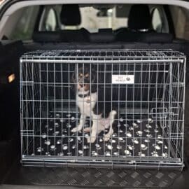 Alternative view of Pet World Peugeot 3008 - 2019 Onwards Car Dog Cage Hatchback