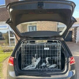 Alternative view of Pet World Car Dog Cage - VOLKSWAGEN GOLF S-TSI 2017