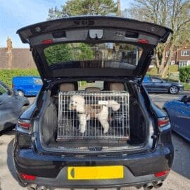 Cage pour chien Pet World Car - Porsche Macan S - Cage de transport pour animaux 2020