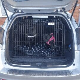 Alternative view of Pet World Honda Civic Tourer 2012 - 2015 Estate Car Dog Cage Crate Pet Travel