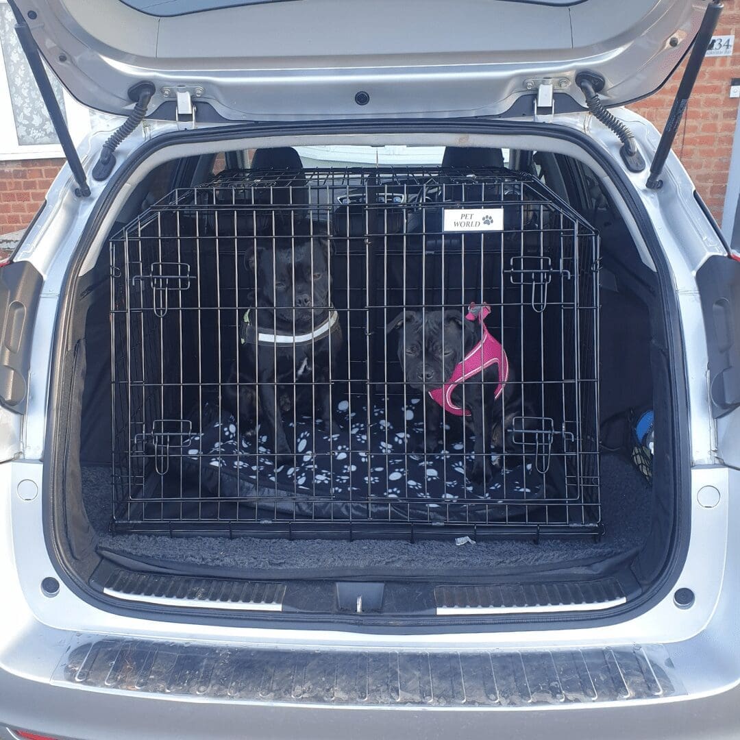 Pet World Honda Civic Tourer 2012 - 2015 Estate Car Dog Cage Crate Pet Travel 3 Pet World Honda Civic Tourer 2012 - 2015 Estate Car Dog Cage Crate Pet Travel - Image 2
