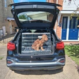 Alternative view of Pet World Car Dog Cage Crate - AUDI Q2 2025 Onwards