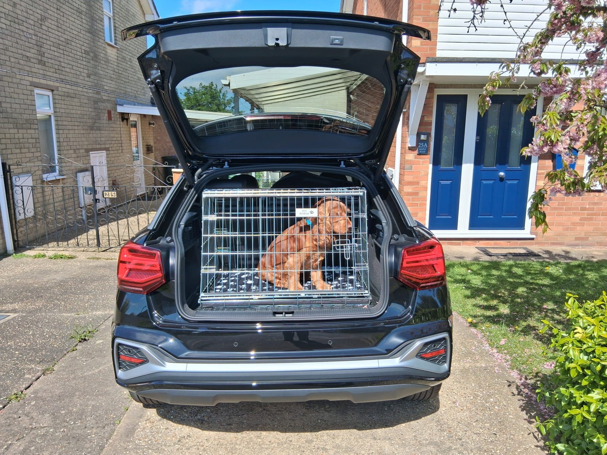 Pet World Car Dog Cage Crate - AUDI Q2 2025 Onwards 3 Pet World Car Dog Cage Crate - AUDI Q2 2025 Onwards - Image 2