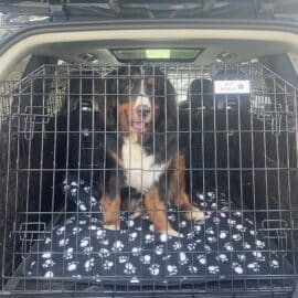 dog cage, travel crate, pet cage volvo xc40