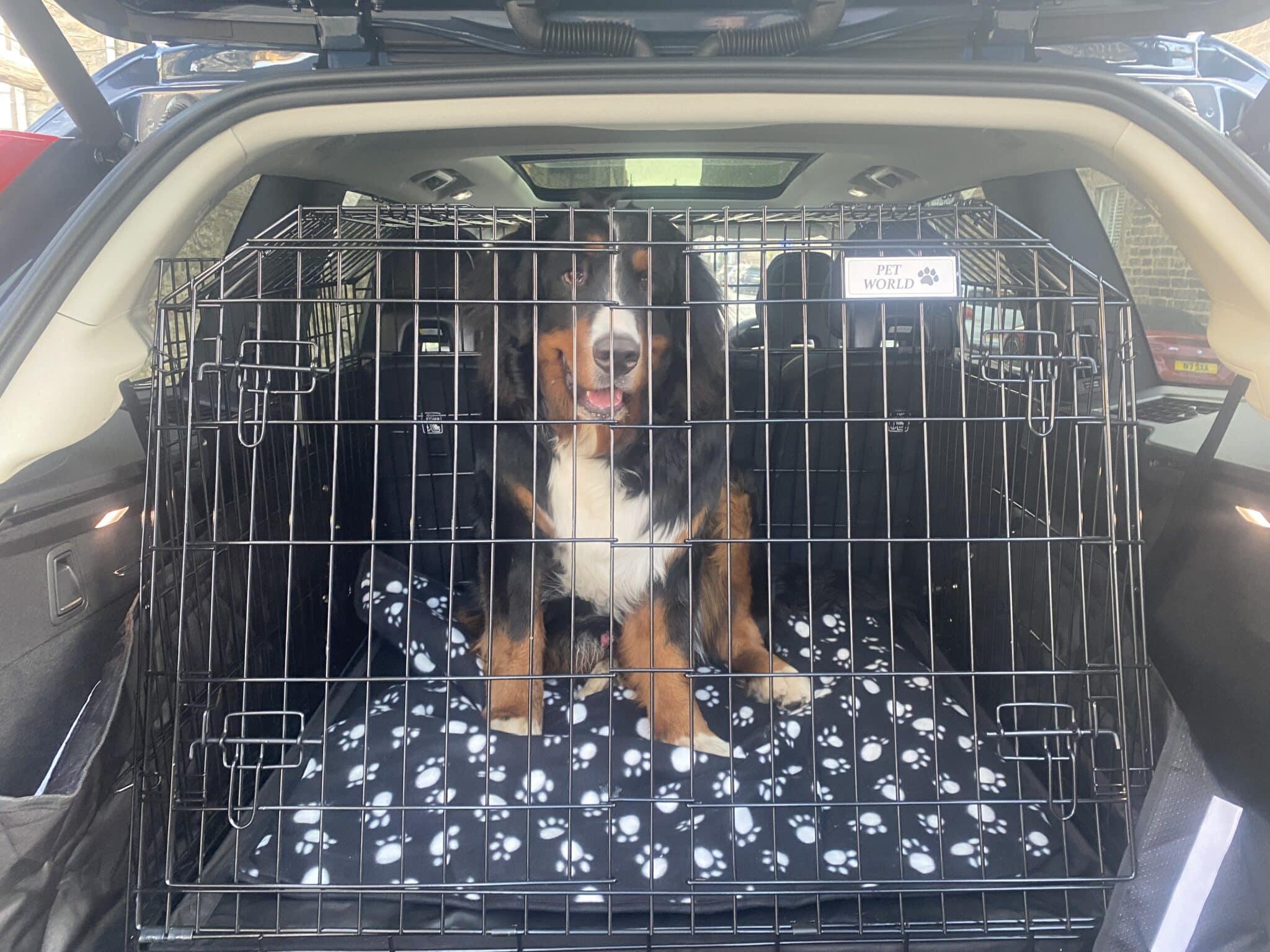 Pet World Car Dog Cage - Volvo XC40 2 cage pour chien, cage de voyage, cage pour animaux de compagnie volvo xc40