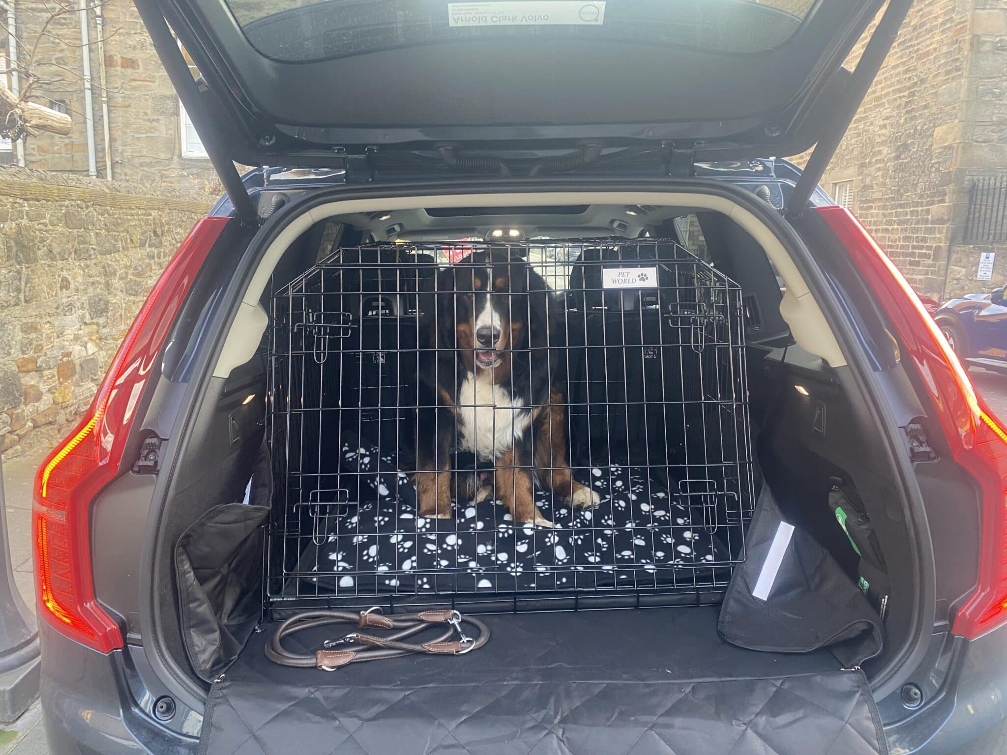 Pet World Car Dog Cage - Volvo XC40 4 cage pour chien, cage de voyage, cage pour animaux de compagnie volvo xc40