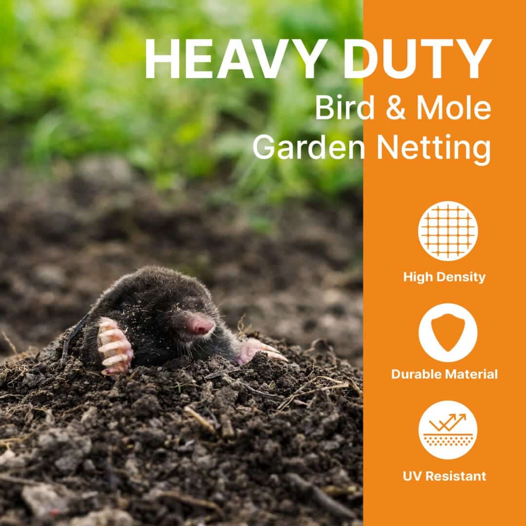 Heavy-Duty Garden Netting | Bird & Mole Protection | Mesh Barrier for Crops, Lawns, Ponds & Allotments (Pay Per Metre) 3 Heavy-Duty Garden Netting | Bird & Mole Protection | Mesh Barrier for Crops, Lawns, Ponds & Allotments (Pay Per Metre)