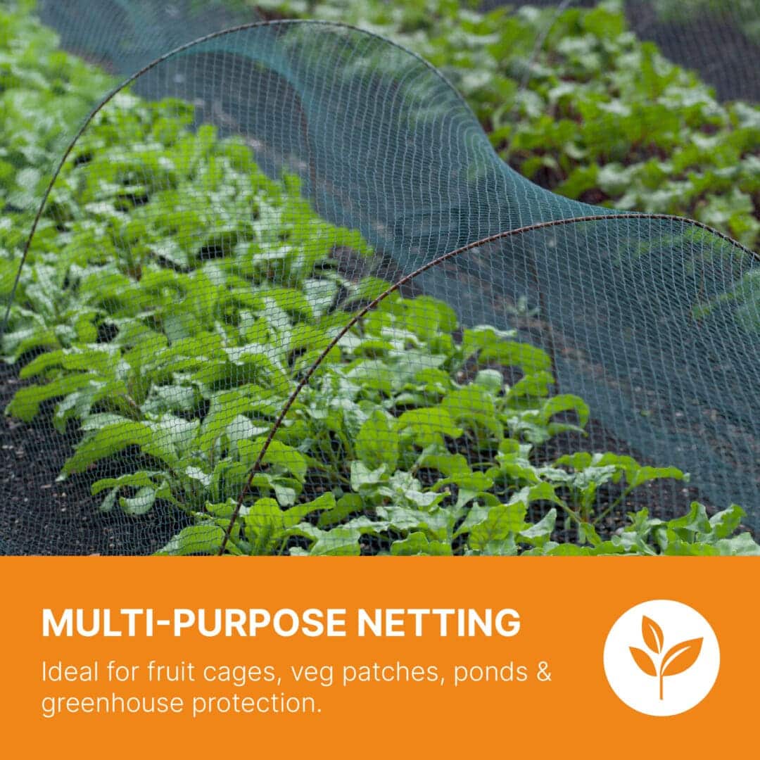 Heavy-Duty Garden Netting | Bird & Mole Protection | Mesh Barrier for Crops, Lawns, Ponds & Allotments (Pay Per Metre) 7 Heavy-Duty Garden Netting | Bird & Mole Protection | Mesh Barrier for Crops, Lawns, Ponds & Allotments (Pay Per Metre) - Image 5