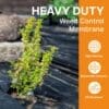 Heavy Duty Weed Control Membrane - Ultimate Solution for a Weed-Free Garden (Various Sizes) 2 Weed Membrane 01 O scaled 1